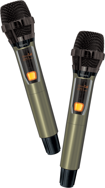 Two Wireless Mic